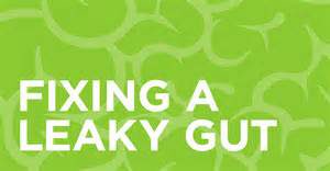  how to fix leaky gut